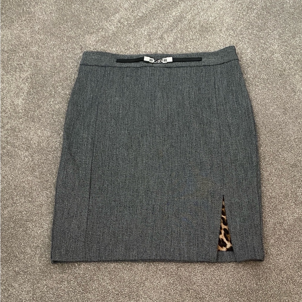 Express Pencil Skirt